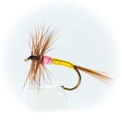 Tups Indispensible Dry Fly