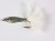 6 pack of Epoxy Baitfish Lures