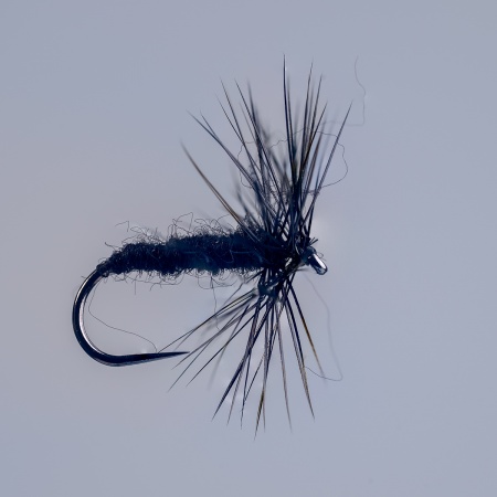 Barbless Black Spider Dry Fly