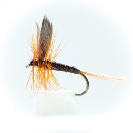 Ginger Quill Dry Fly by the dozen