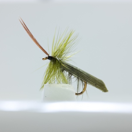 Olive Silverhorn Sedge Dry Fly