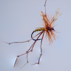 Barbless Daddy Long Legs  Dry Fly[1]