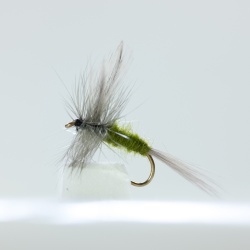 Blue Winged Olive Dry Fly by the dozen