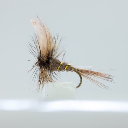 March Brown Dry Fly by the dozen