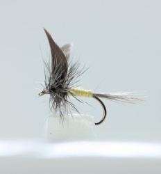 Pale Watery Dun Dry Fly by the dozen