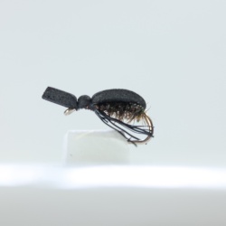 Black foam Beetle Dry Fly