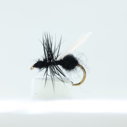 Black Flying Ant Dry Fly by the dozen