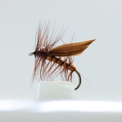 Brown Winged Brown Sedge Dry Fly