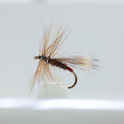 Walkers Caddis Dry Fly by the dozen