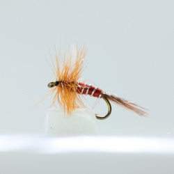 Red Spinner Dry Fly