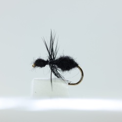 Black Ant Dry Fly