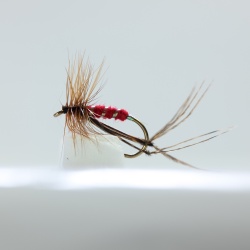 Bristol Hopper Red Dry Fly