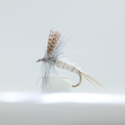 Light Hendrickson Dry Fly