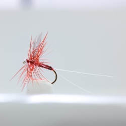 Lunns Particular Dry Fly