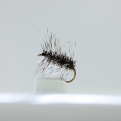 Griffiths Gnat Dry Fly by the dozen