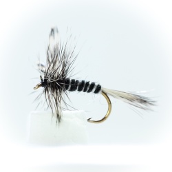Mosquito Dry Fly
