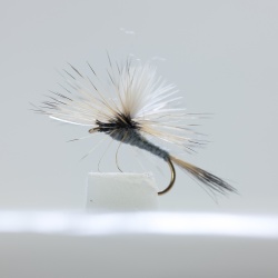 Grey duster Parachute Dry Fly