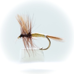 Sherry Spinner Dry Fly by the dozen