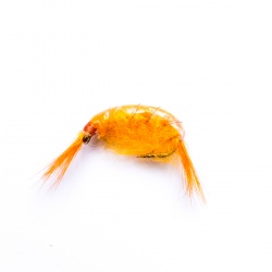 Orange Weighted Shrimp